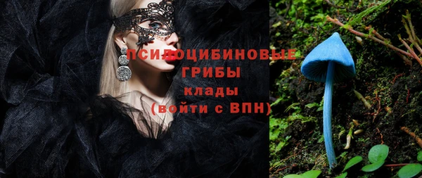 каннабис Аркадак