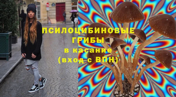 каннабис Аркадак